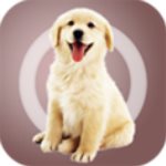 ˹ҳ V1.2.0