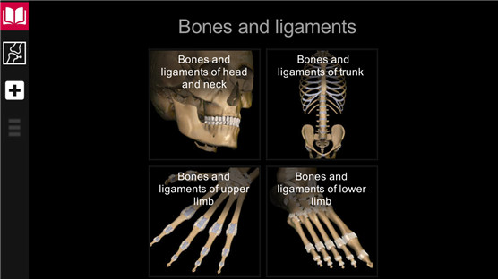 AnatomyLearning(3Dѧ)