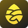 ɹ V5.11.0