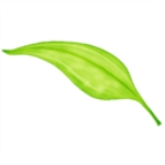 Xposed edge proٷ V5.3.0