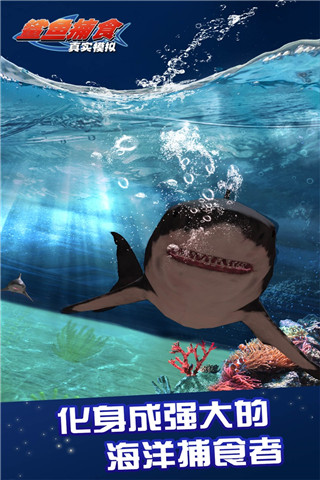 ʵģ㲶ʳֻ