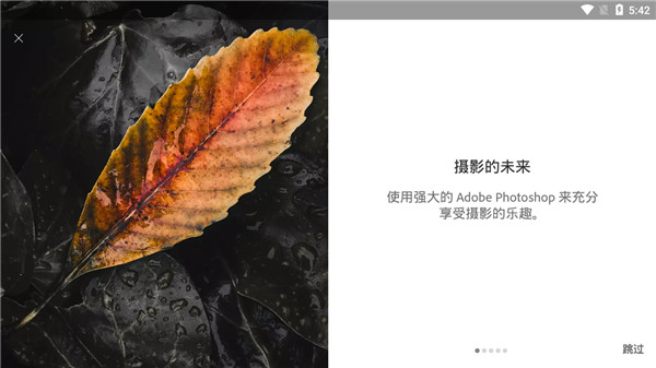 Adobe Lightroom׿ƽ
