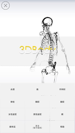 3Dbodyapp