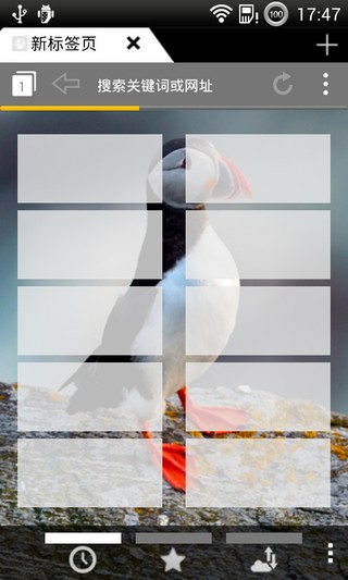 puffin°2020