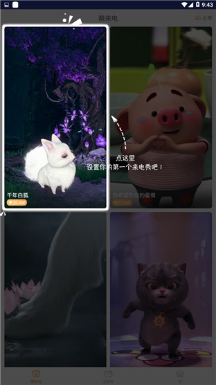 逗猫咪