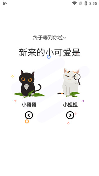 ʿapp°汾