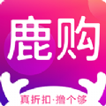 ¹ȥ V0.0.6