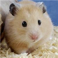 Ӱӹٷ V1.2.8